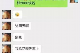 岚县为什么选择专业追讨公司来处理您的债务纠纷？